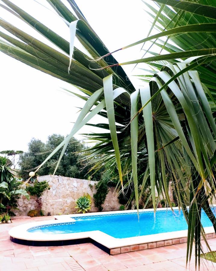 Villa Lola 14